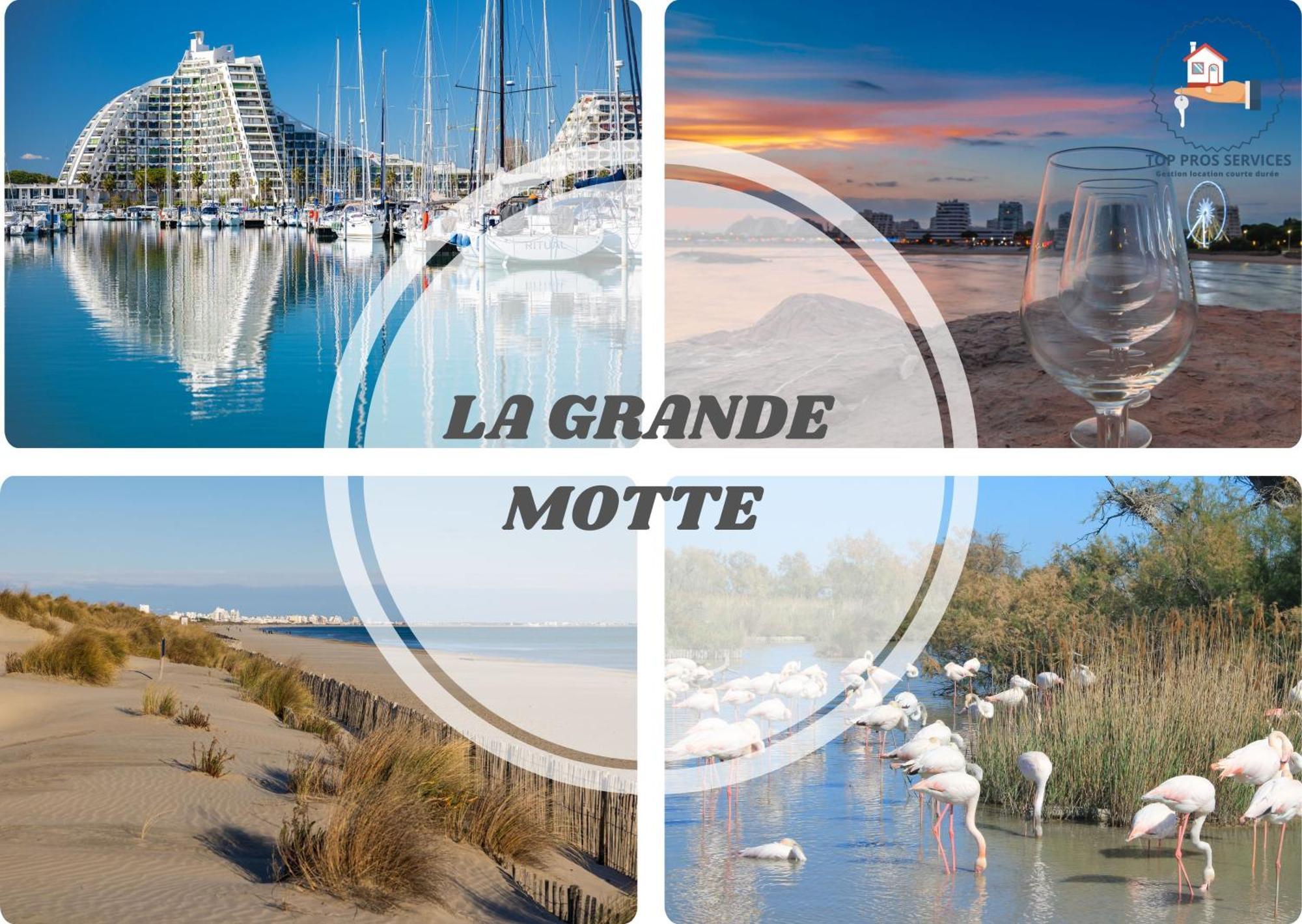 Le Cosy Wifi Clim Jardin Top Pros Servicesconciergerie Montpellier Esterno foto