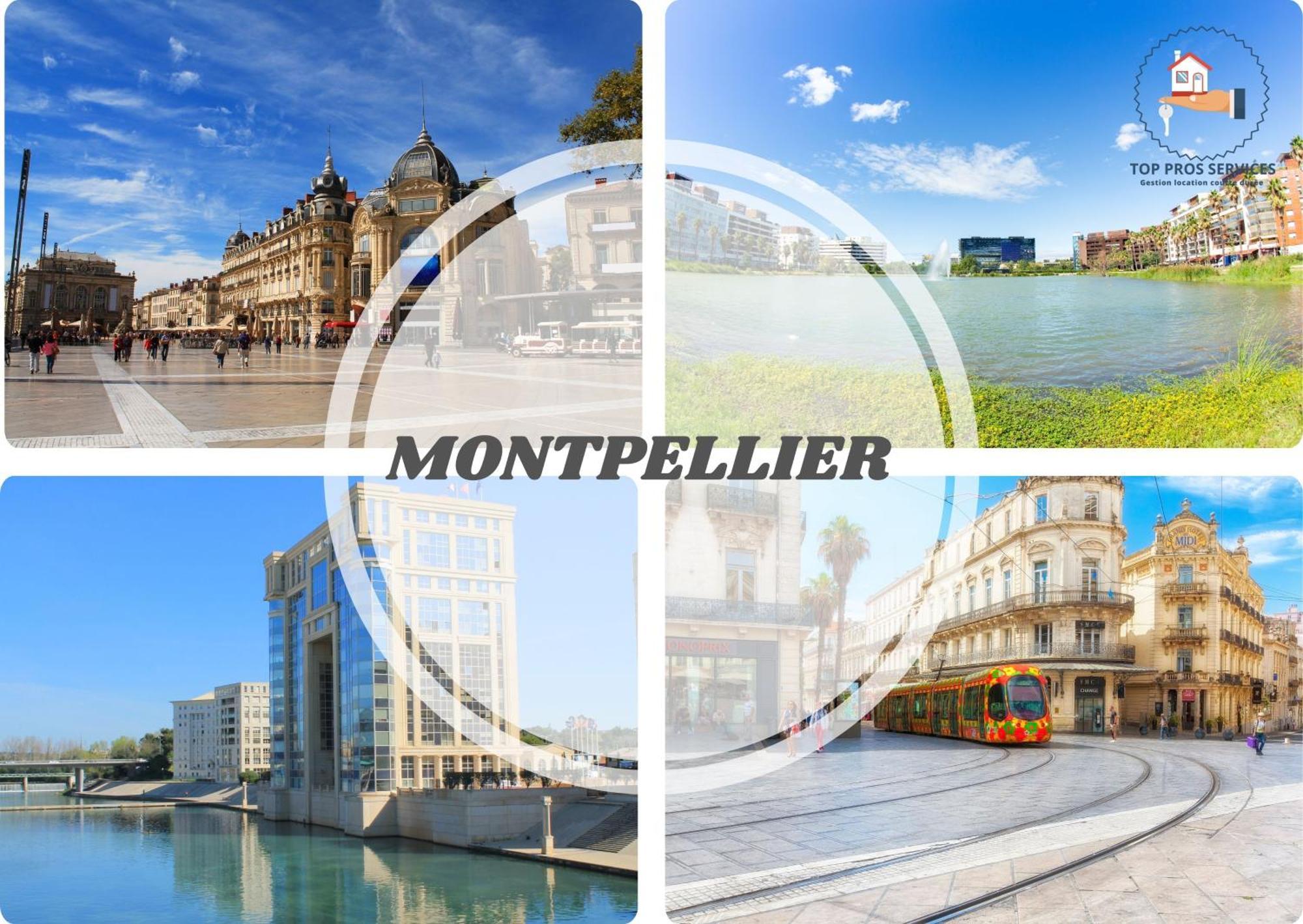 Le Cosy Wifi Clim Jardin Top Pros Servicesconciergerie Montpellier Esterno foto